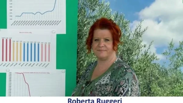 mercato-olio-di-oliva