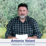 bollettino-olivicolo